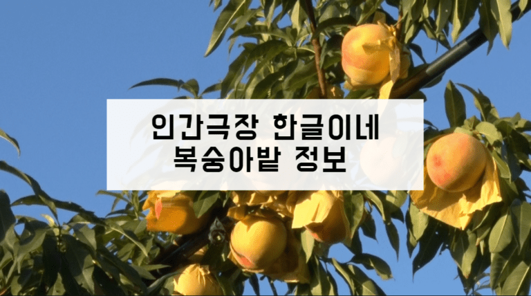 인간극장 복숭아