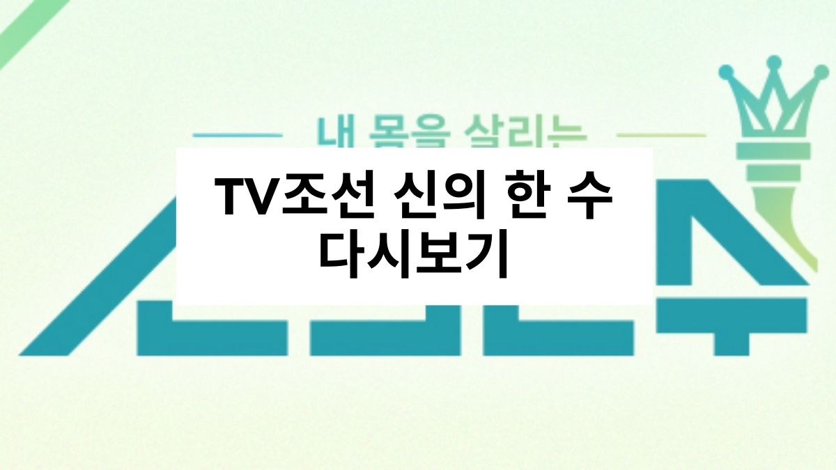 TV조선 신의 한 수 다시보기