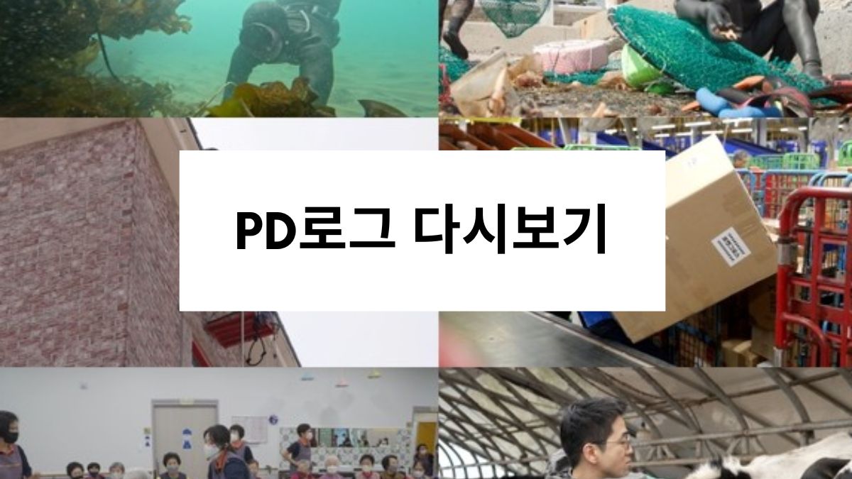 PD로그 다시보기