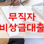 무직자 비상금대출