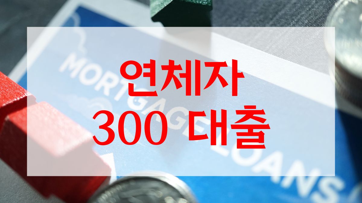 연체자 300 대출