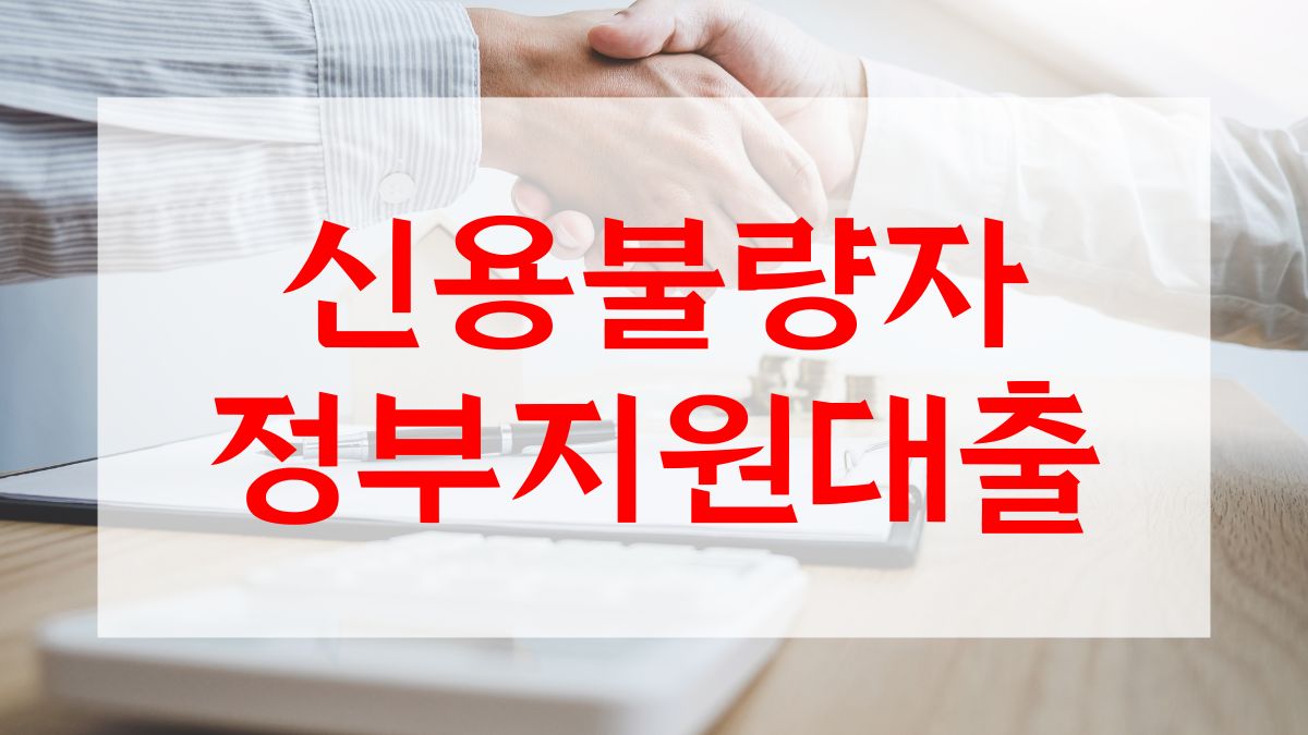 신용불량자 정부지원대출