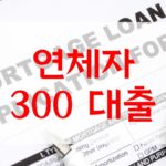 연체자 300 대출