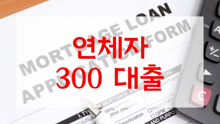 연체자 300 대출