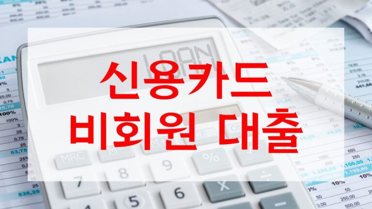 신용카드 비회원 대출