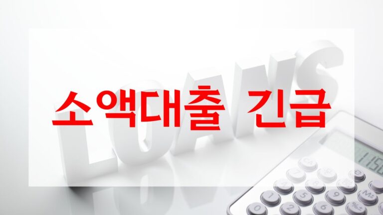 소액대출