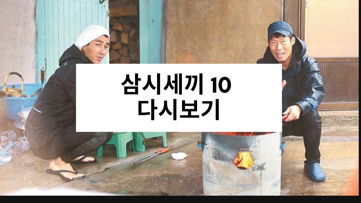 삼시세끼 10 다시보기