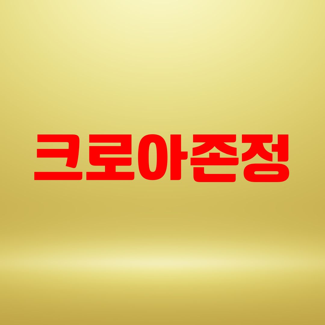 크로아존정