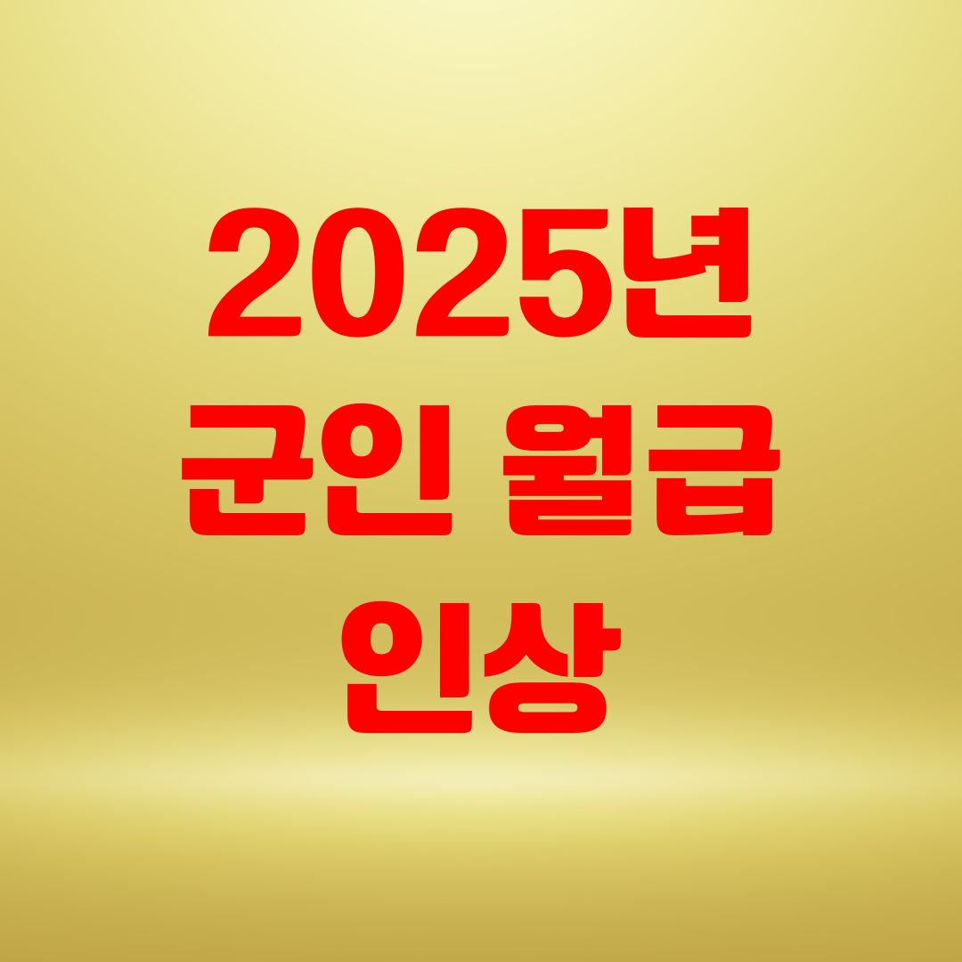 2025년 군인 월급 인상