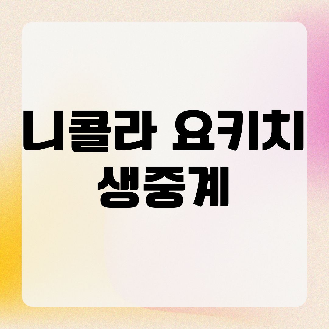 니콜라 요키치 생중계