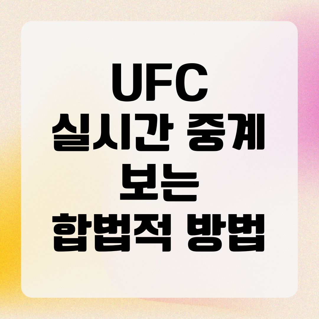 UFC 실시간 중계 보는 합법적 방법