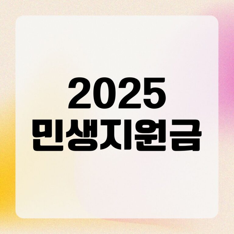 2025 민생지원금