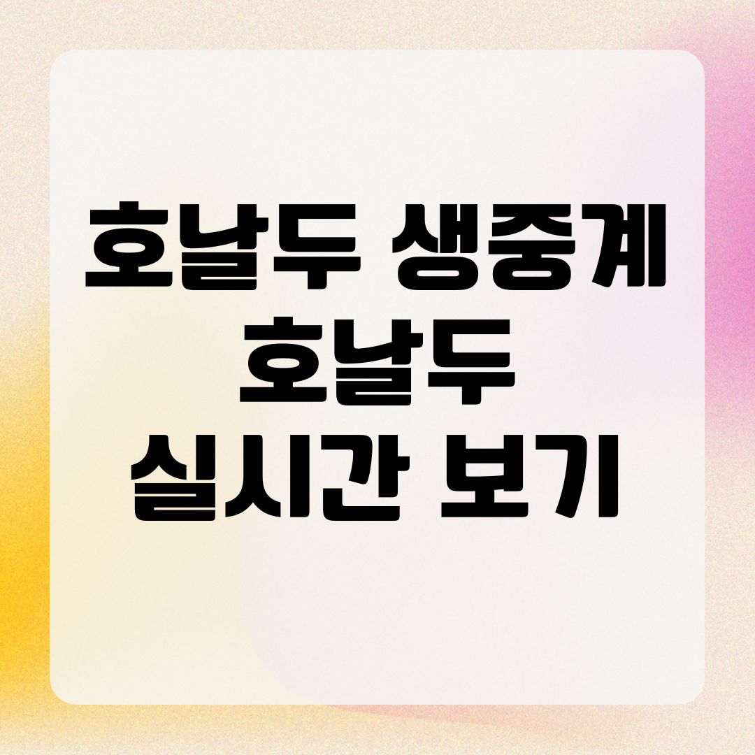 호날두 생중계 호날두 실시간 보기