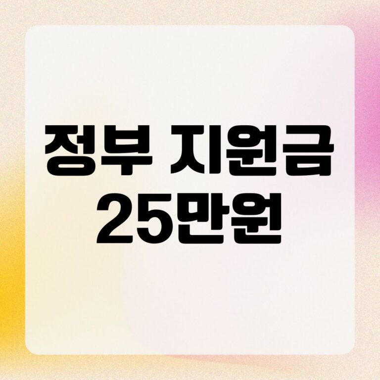 정부 지원금 25만원