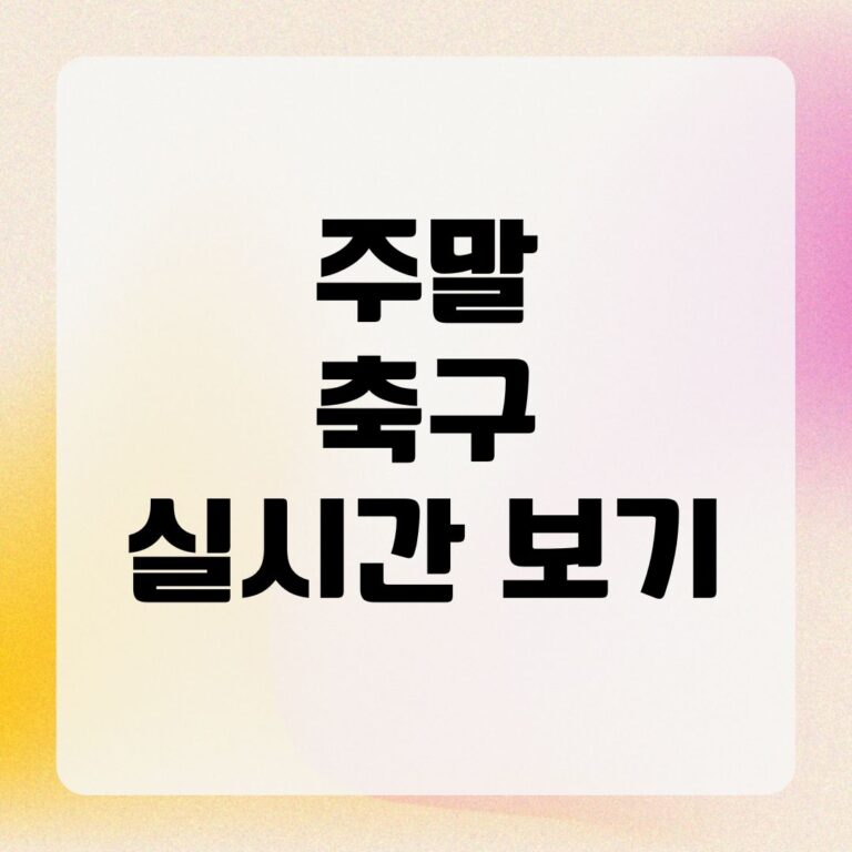 주말 축구 실시간 보기